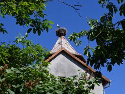 202306-grunesband-035-3860-sesslach