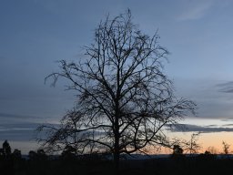 20250124-Winterbiwak-012-6171