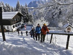 202502-Winterwanderung-022-6209-Tag2-NaturfreundehausFreibergsee