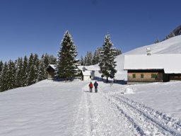 202502-Winterwanderung-039-6229-Tag2-AbstiegNachRiezlern