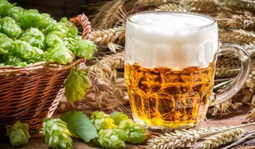 Bier selber brauen